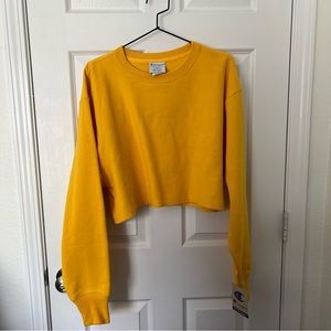 Champion Cropped Reverse Weave Crewneck Sweatshirt